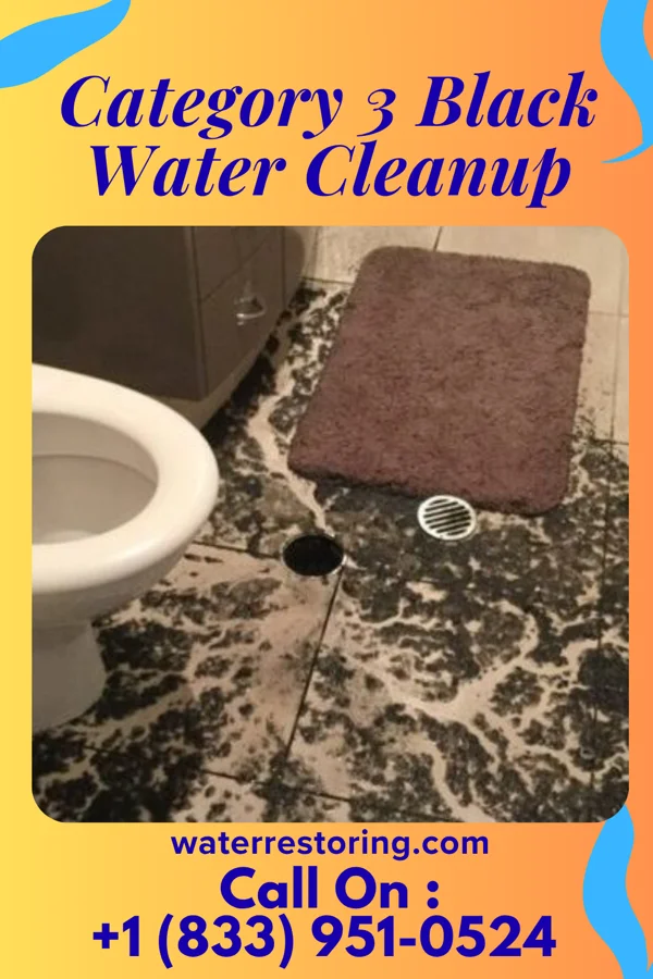 Category 3 Black Water Cleanup in Monroe, UT