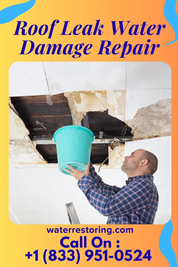 Roof Leak Water Damage Repair in Monroe, UT